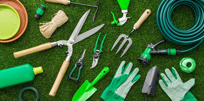 Lawn Maintenance Services