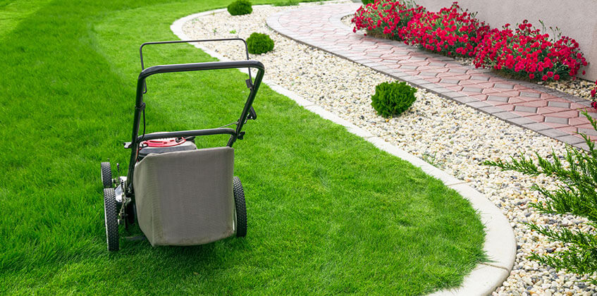 Lawn Care Services